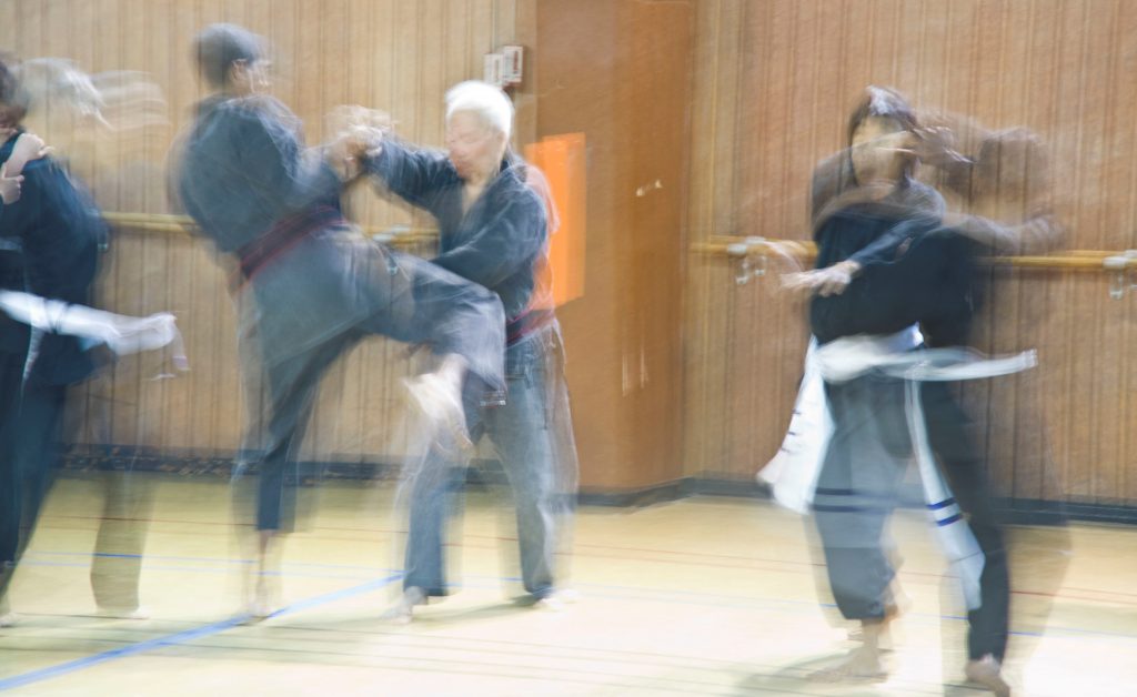 Khiem-Ho Paris 13 Viet Vo Dao Viet Tai Chi