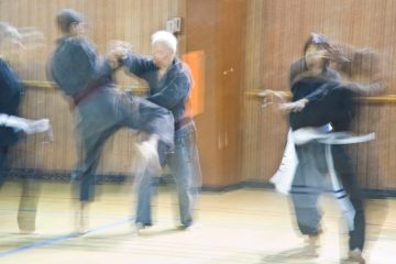 Khiem-Ho Paris 13 Viet Vo Dao Viet Tai Chi